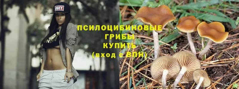 Псилоцибиновые грибы MAGIC MUSHROOMS Славянск-на-Кубани